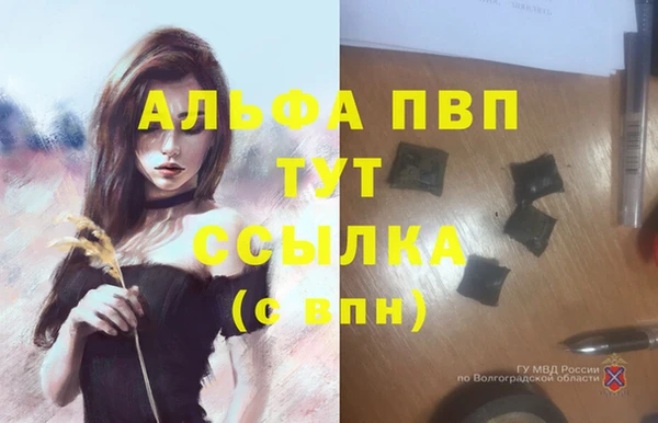 крисы Нягань
