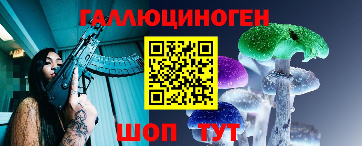 Псилоцибиновые грибы мицелий Алейск