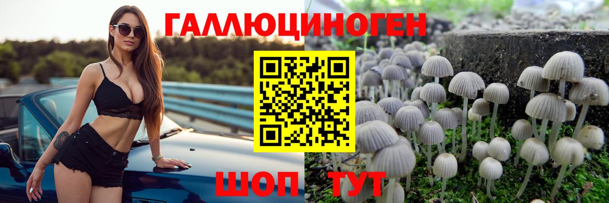Алейск  Галлюциногенные грибы Psilocybine cubensis  Вход с VPN 